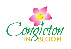 2016 In Bloom Logo (002)